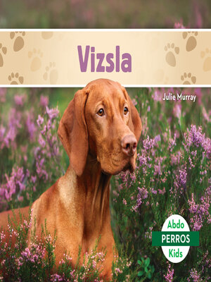 cover image of Vizsla